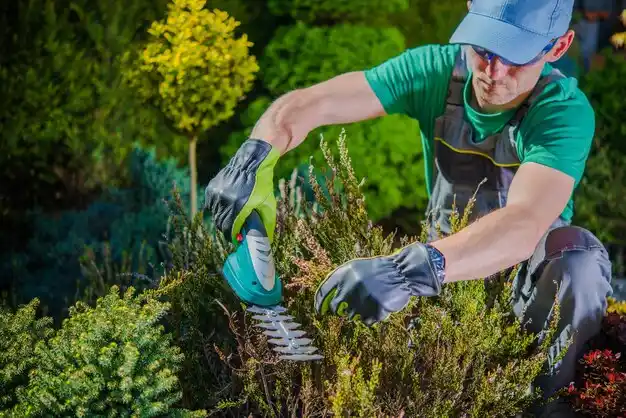 landscaping services Flower Hill